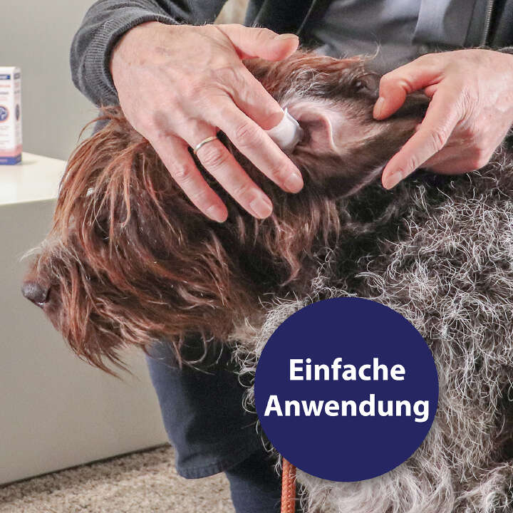 Canosept Ohrpflege Finger-Pads für Hunde